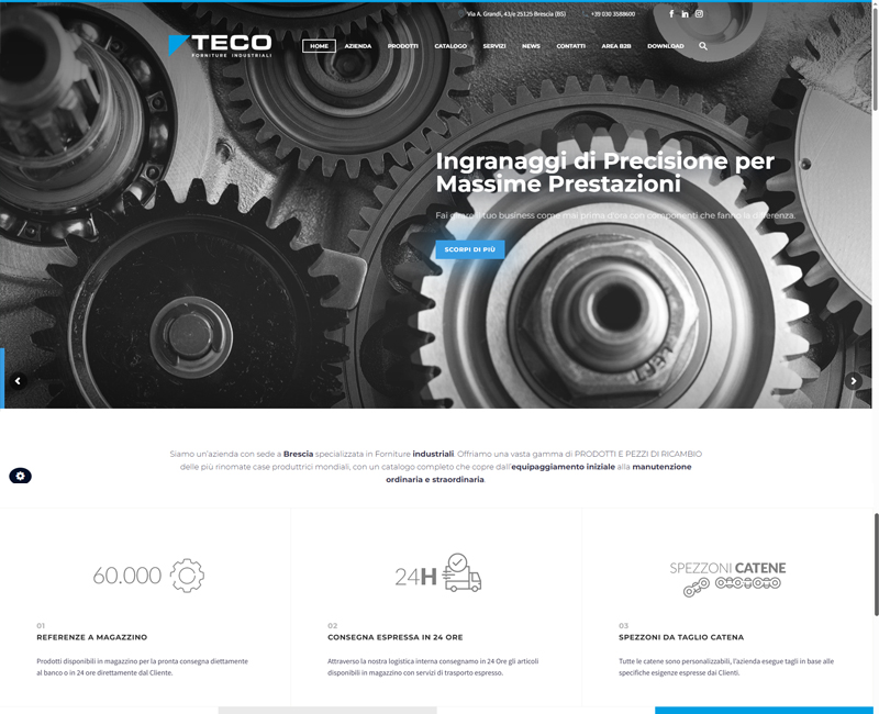 Creazione e gestione ecomerce B2B web TECOSPA